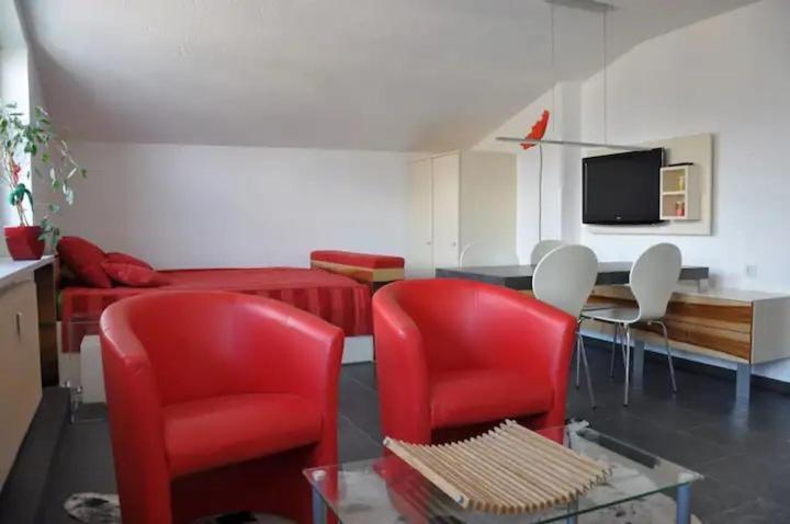 Lake View Appartment In Zell-Am-See City Centre ツェル アム ゼー エクステリア 写真